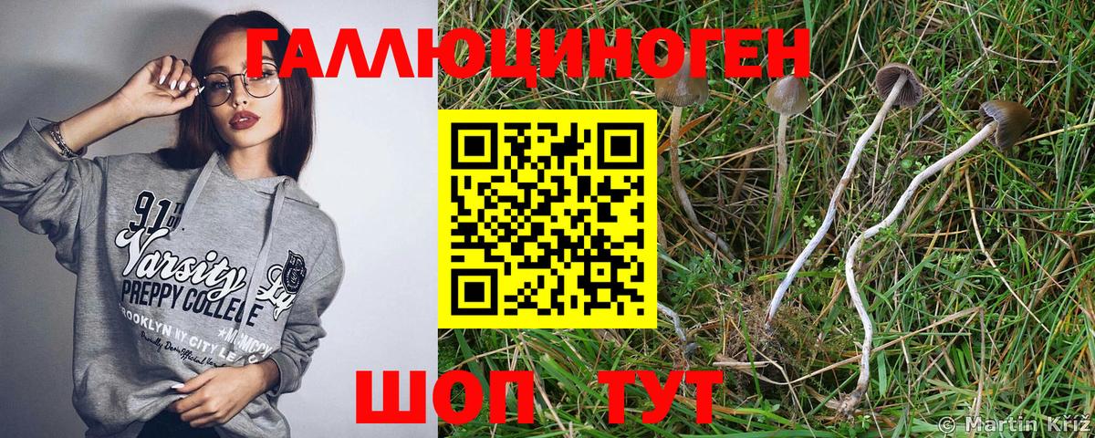 Галлюциногенные грибы ЛСД  Вход с VPN  Жуковский 
